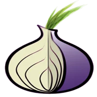 Network icon